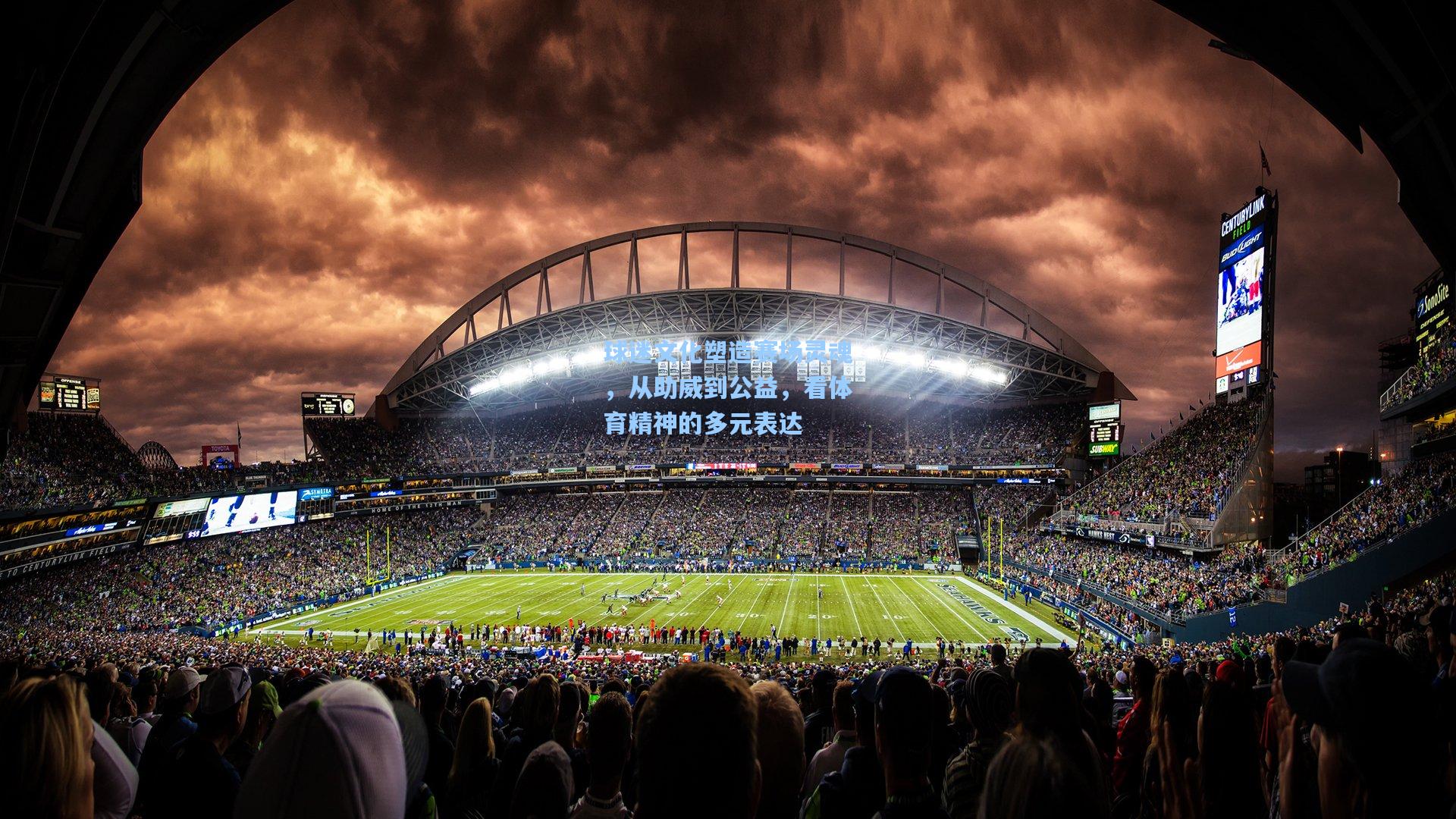 球迷文化塑造赛场灵魂，从助威到公益，看体育精神的多元表达